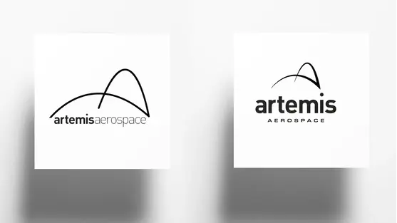 PMW Brand Strategy - Artemis image 3